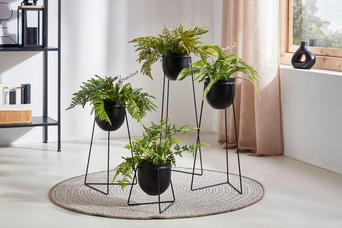 Übertopf Urbanus in Schwarz - Schwarz, Basics, Metall (24/60cm) - Modern Living