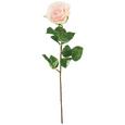 Kunstblume Alfred Rosa - Rosa/Grün, Kunststoff (69cm) - Mömax modern living Kunstblume Alfred Rosa - Rosa/Grün, Kunststoff (69cm) - Mömax modern living