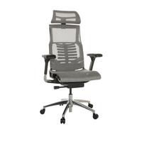 Pisarniški Stol Dynafit Ii, Svetlo Siva - srebrne barve/svetlo siva, Basics, kovina/umetna masa (67/119-135/60cm) - MID.YOU