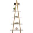 Regal in Weiß/Kieferfarben - Weiß/Kieferfarben, MODERN, Holz/Holzwerkstoff (60/150/30cm) - Mömax modern living