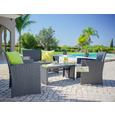 Lounge Garnitura Michelle 1 - temno siva/siva, kovina/umetna masa - MÖMAX modern living