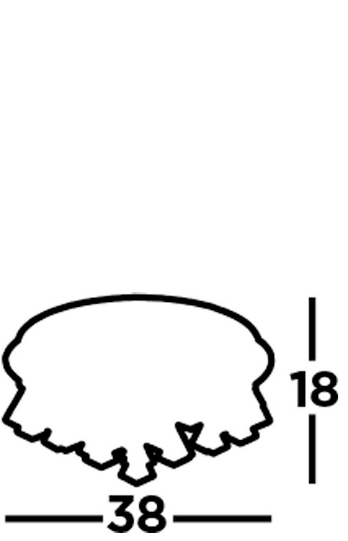 Fürdőszobai Mennyezeti Lámpa 2204-4cc - krómszínű, Design, üveg/fém (38/17.5cm)