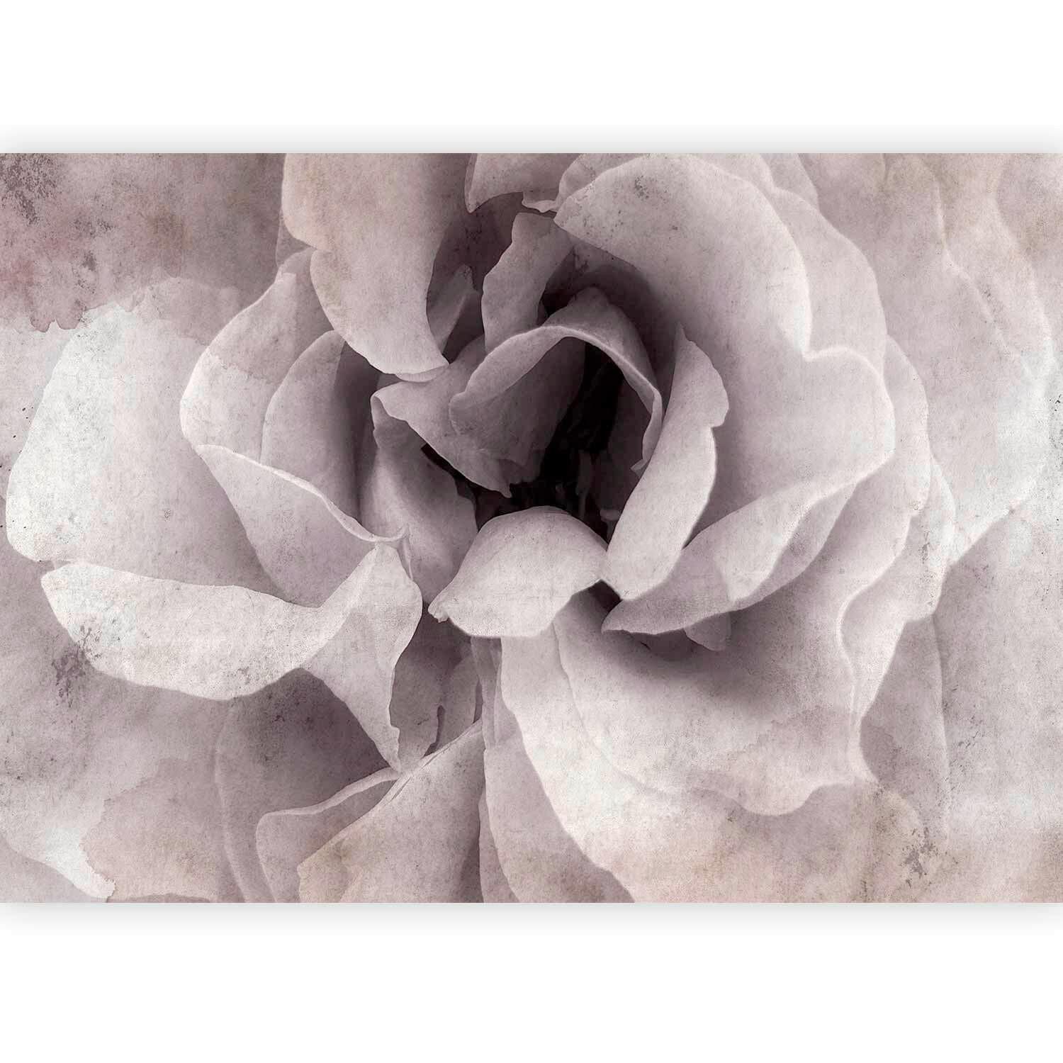 Fototapeta Entrance To Bliss, 200x140cm - bela/svetlo roza, Trendi, tekstil (200/140cm) - artgeist