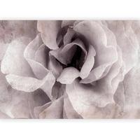 Fototapeta Entrance To Bliss, 200x140cm - bela/svetlo roza, Trendi, tekstil (200/140cm) - artgeist