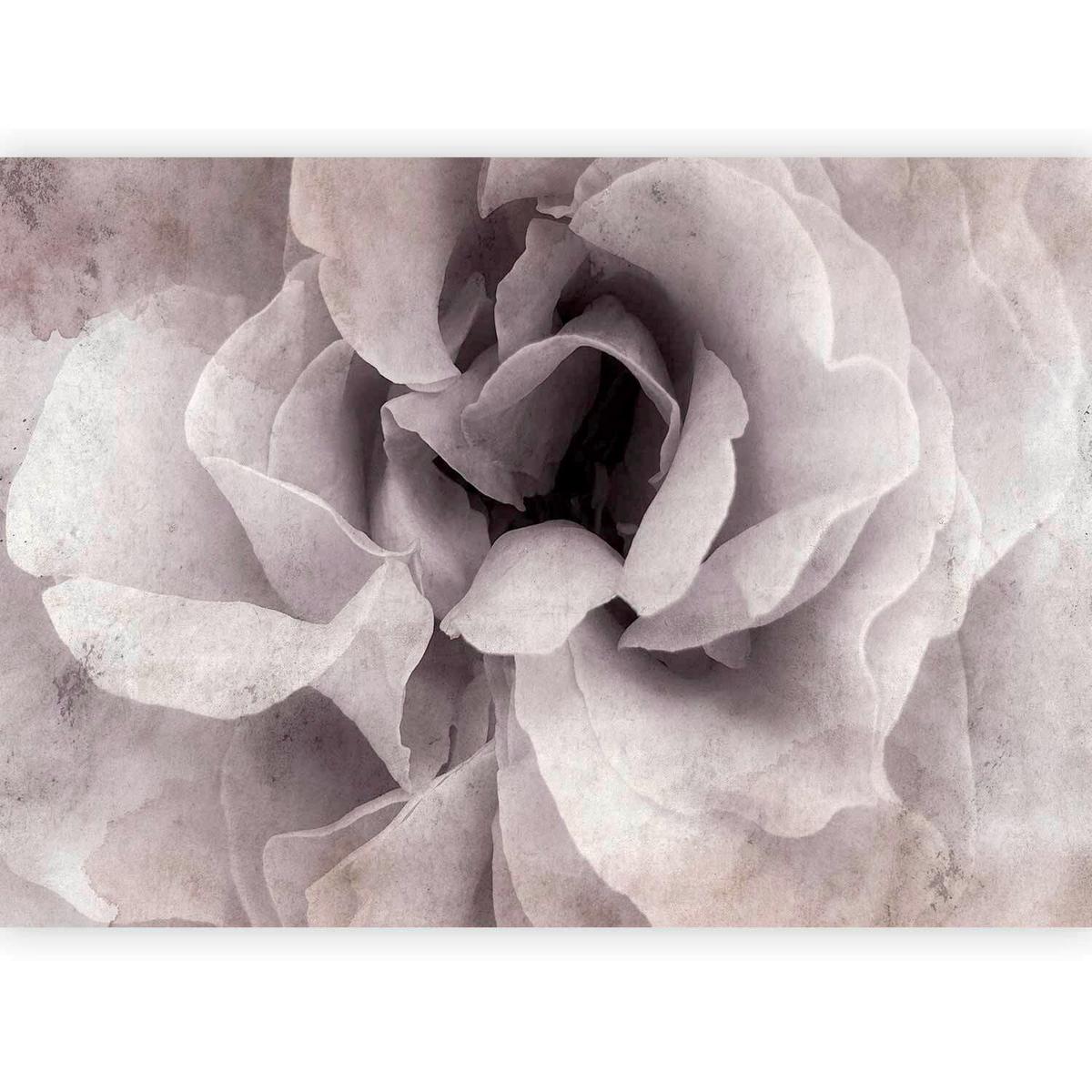 Fototapeta Entrance To Bliss, 200x140cm - bela/svetlo roza, Trendi, tekstil (200/140cm) - artgeist