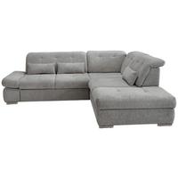 Wohnlandschaft Dalida Silberfarben Chenille - Chromfarben/Silberfarben, Design, Textil/Metall (280/254cm) - Livetastic