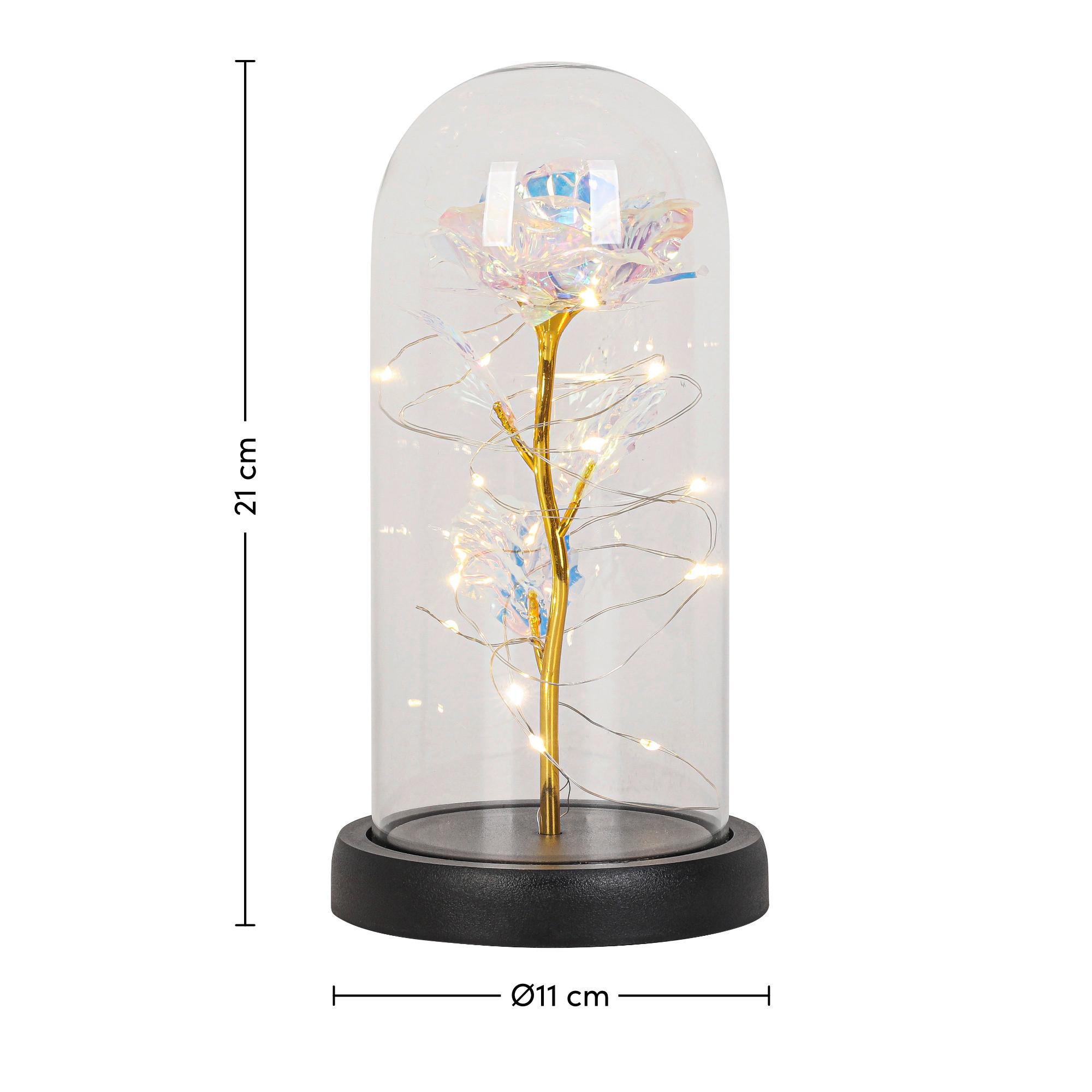 LED-DEKORATIONSLAMPA FLOWI - svart/transparent, Modern, plast (11/21cm) - Mömax