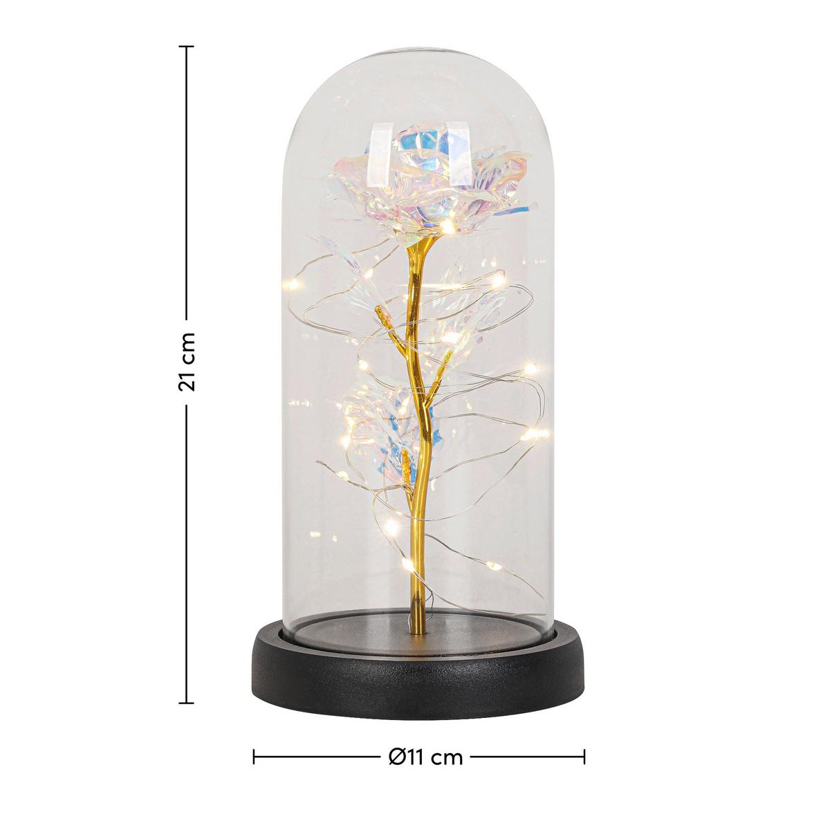 LED-Dekoleuchte Flowi Schwarz/Transparent - Transparent/Schwarz, Modern, Kunststoff (11/21cm) - Mömax