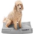 Hundekissen Said 75x55cm - Hellgrau, Textil (75/55/10cm) - MÖMAX modern living