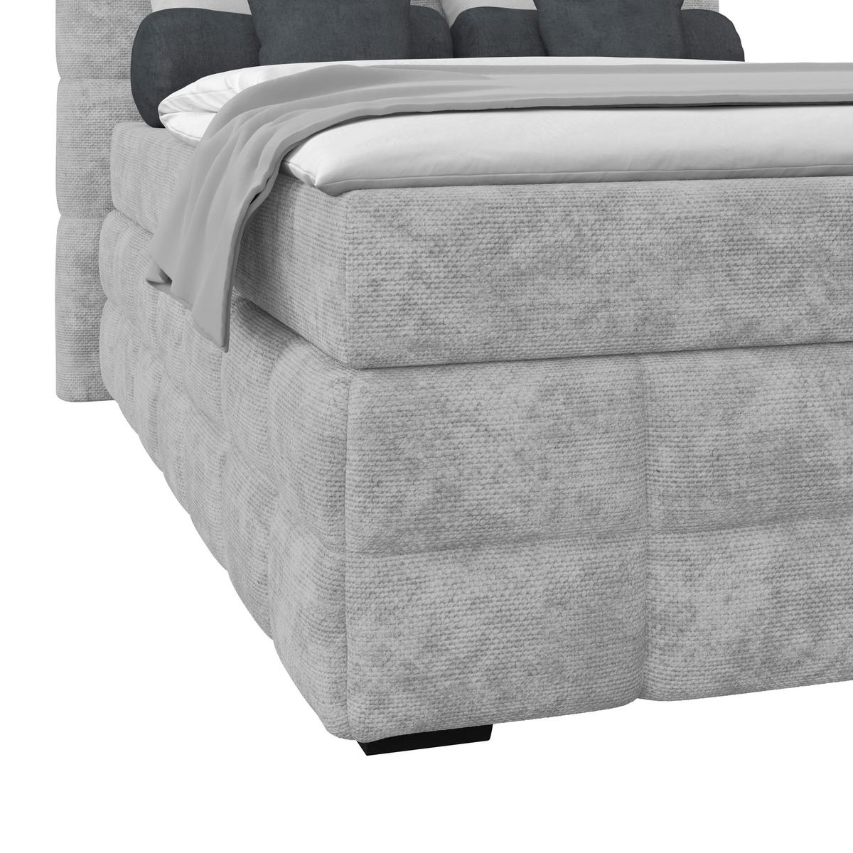 PAT BOX VEGA - gri deschis/alb, Trend, lemn/textil (120/200cm) - Modern Living