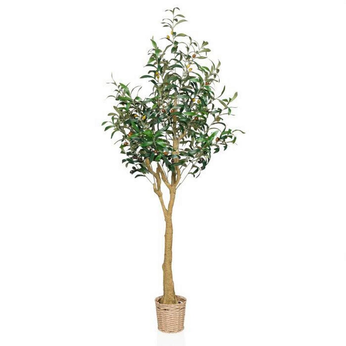 Umetna Rastlina Olive Ii - svetlo rjava/zelena, Moderno, umetna masa (60/150/60cm) - MID.YOU