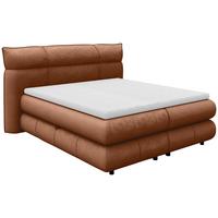 Boxspring Krevet Caramelo - bakrenaste boje/crna, Trend, tekstil/plastika (140/200cm) - Premium Living