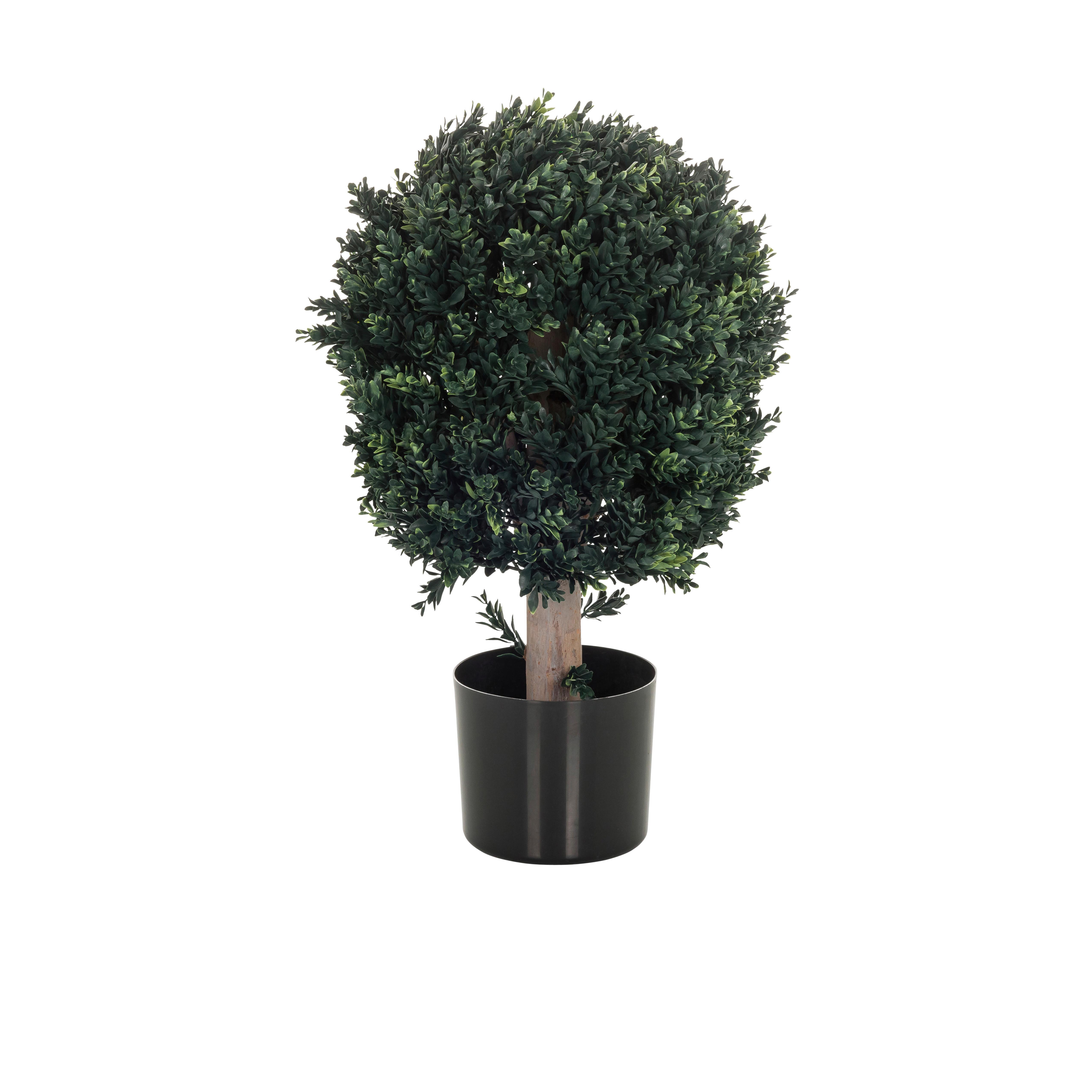 Umetna Rastlina Buxus - črna/zelena, Basics, umetna masa (40/65/40cm) - MID.YOU