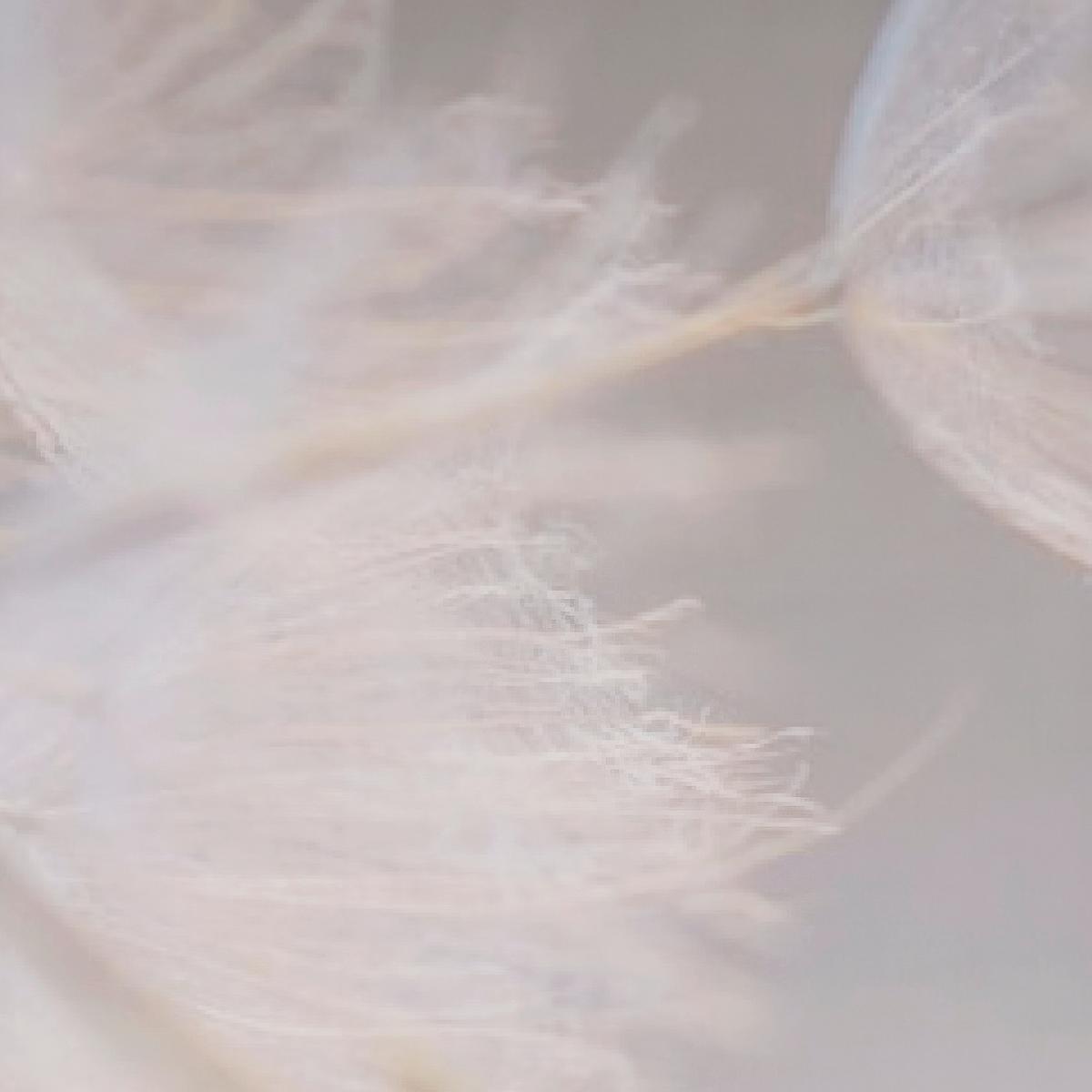 ZASŁONA PANELOWA DINANT - taupe, Basics, tkanina (60/245cm) - Novel