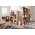 Raumteiler Eichefarben - Eichefarben/Alufarben, Holzwerkstoff/Kunststoff (117/193/35cm) - Mömax modern living Raumteiler Eichefarben - Eichefarben/Alufarben, Holzwerkstoff/Kunststoff (117/193/35cm) - Mömax modern living