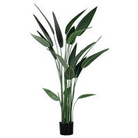 Kunstpflanze Wassercanna in Grün ca. 140cm - Schwarz/Grün, Basics, Kunststoff (140cm) - Modern Living