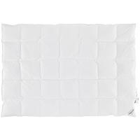 Daunenduvet LUNA - Weiss, Konventionell (160/210cm) - Premium Living