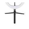LED-RINGLAMPA TOFO - svart, Modern, metall/plast (24,5/38cm) - Mömax