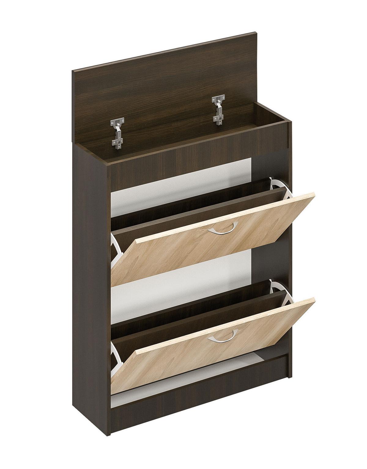 Billenős Cipősszekrény 2 Ajtós Gery - wenge/Sonoma tölgy, Konventionell, faalapú anyag (60/98,5/26,8cm)