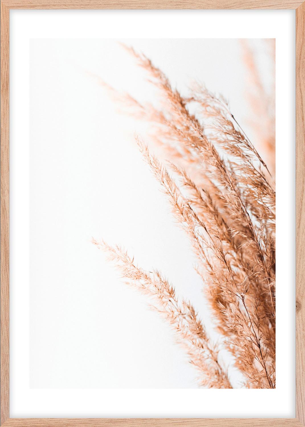Slika Image - svetlo rjava/bela, papir/umetna masa (50/70cm) - Modern Living