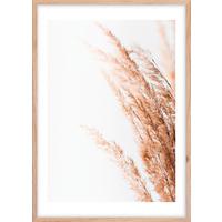 Bild Image ca. 50x70cm - Hellbraun/Beige, Holzwerkstoff/Papier (50/70cm) - Mömax