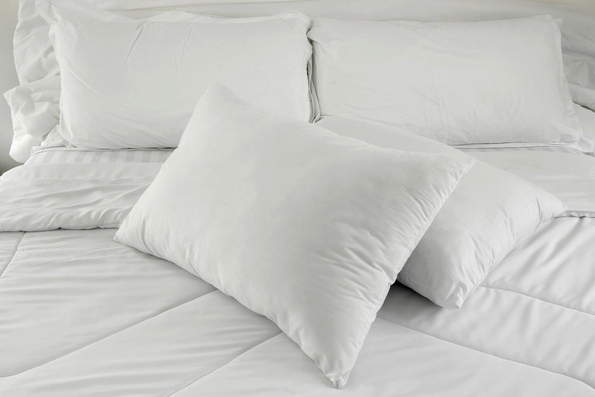 Fejpárna Agata 40/50 - Basics (40/50cm) - Best Price