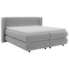 Boxspring Krevet Elodie - srebrne boje/crna, Konvencionalno, tekstil/plastika (160/200cm) - Premium Living