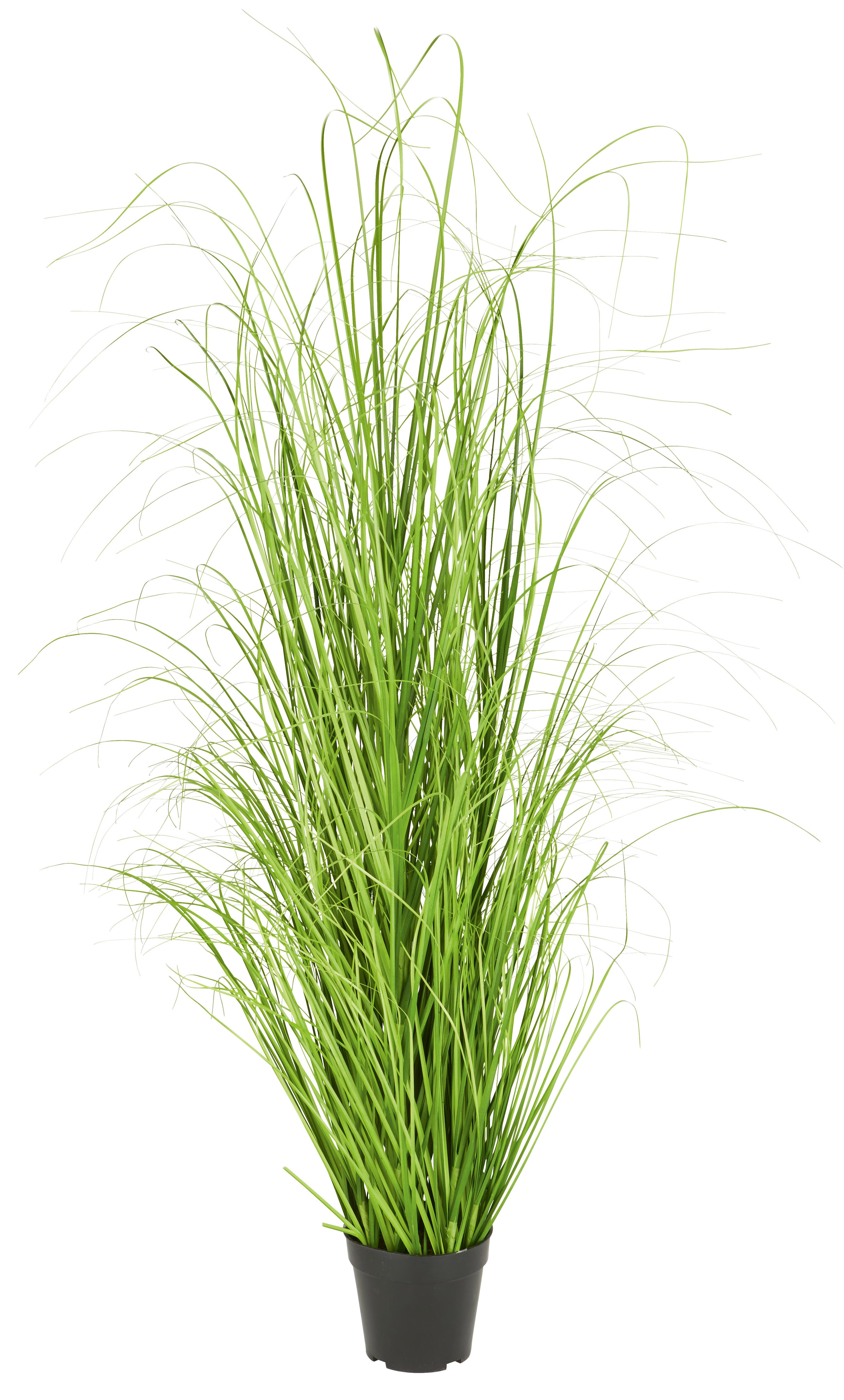 Mănunchi de iarbă Patrick - verde, textil (120cm) - Modern Living