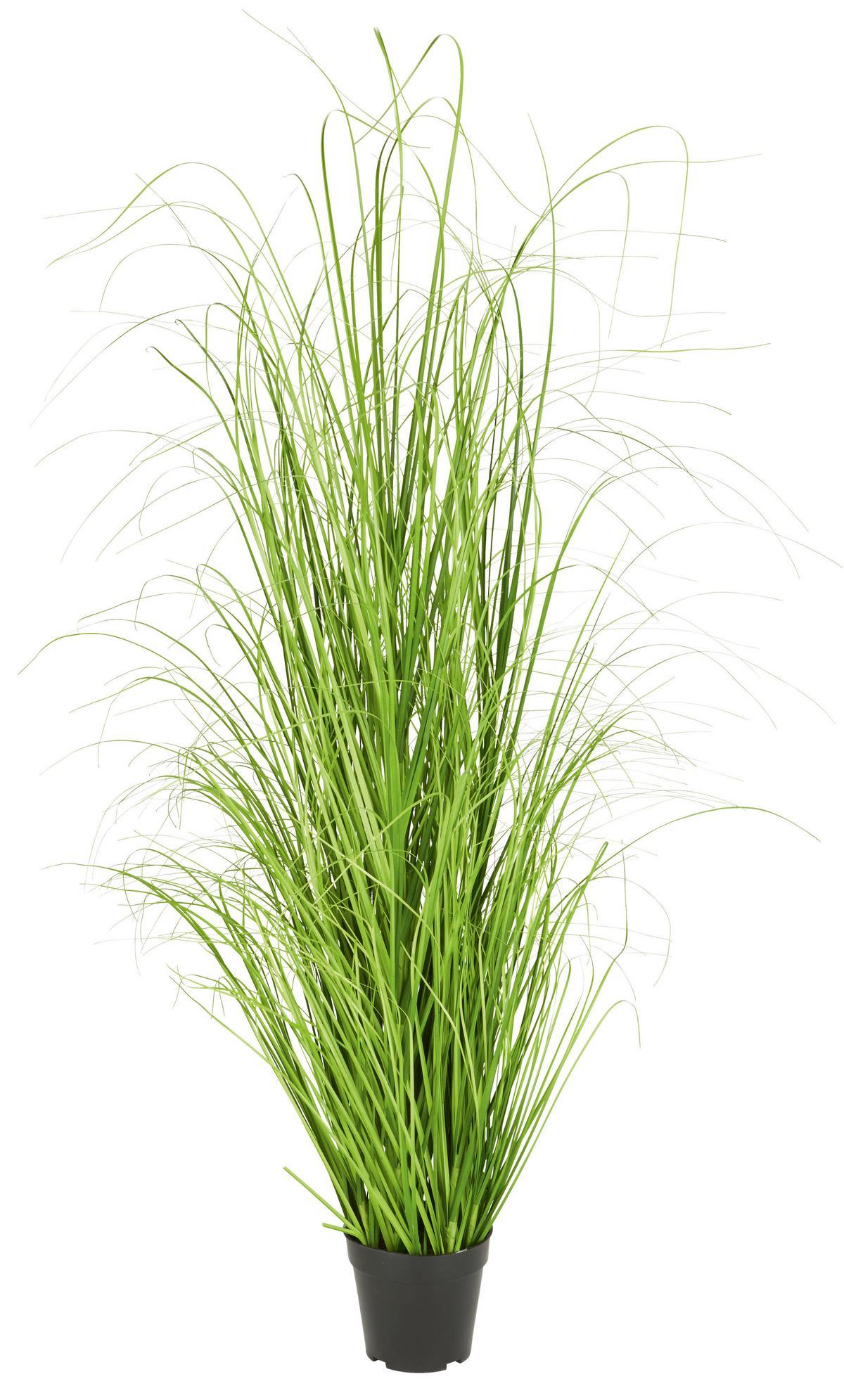 Mănunchi de iarbă Patrick - verde, textil (120cm) - Modern Living