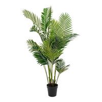 Kunstpflanze Areca Palme Grün - Schwarz/Grün, Basics, Kunststoff (175cm)