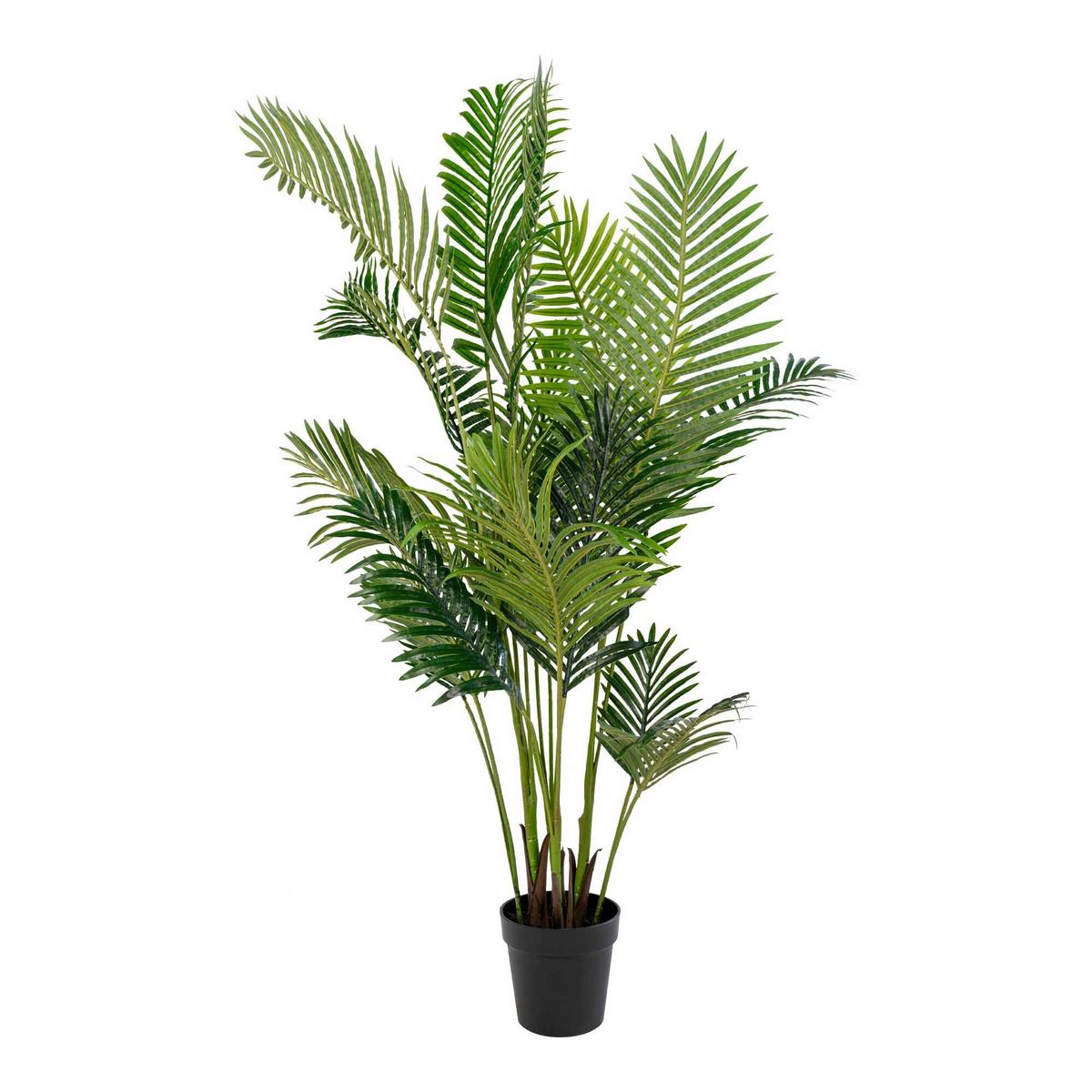 Kunstpflanze Areca Palme Grün - Schwarz/Grün, Basics, Kunststoff (175cm)