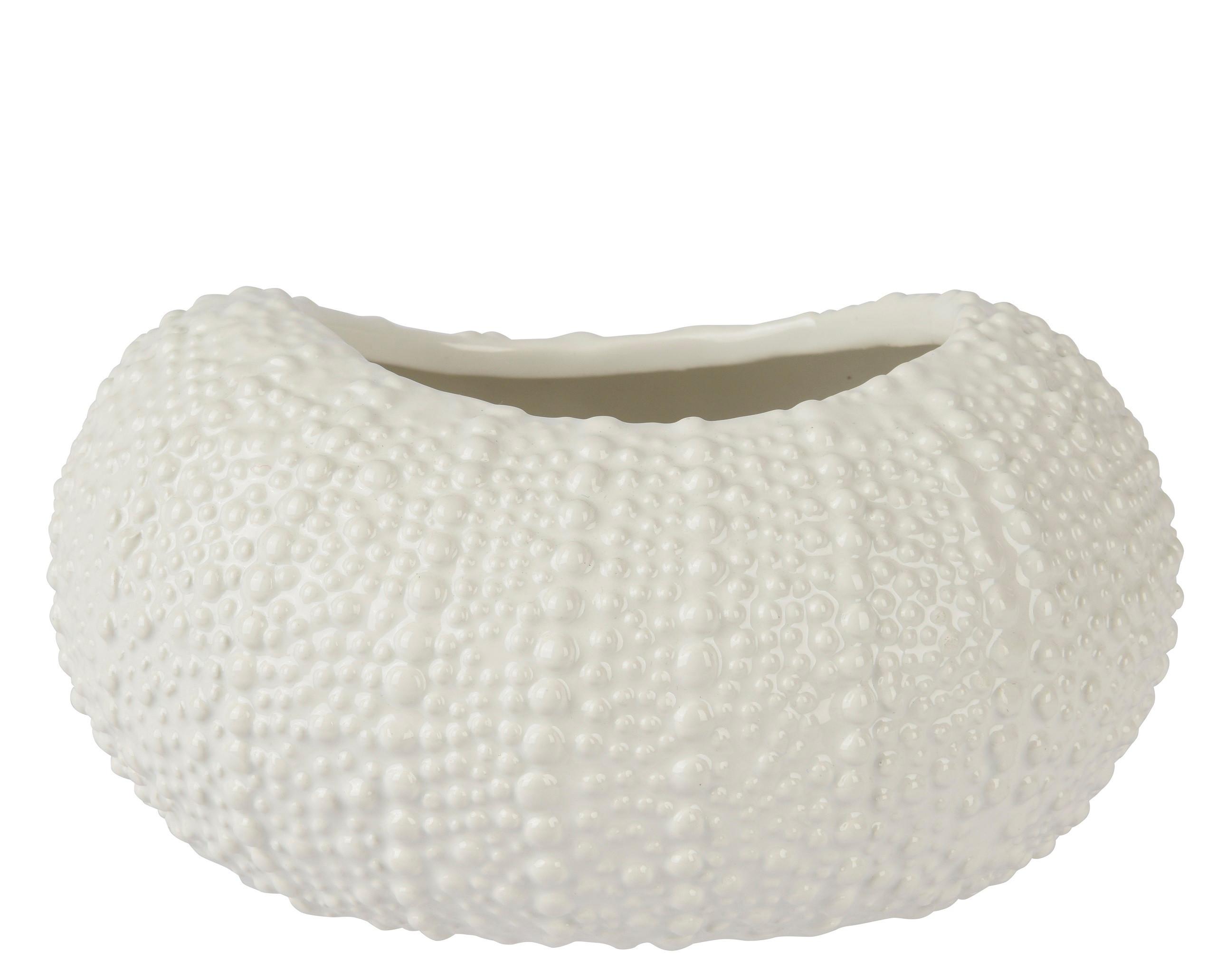 Scoică decorativă Shelly - Basics (15/19/10cm)
