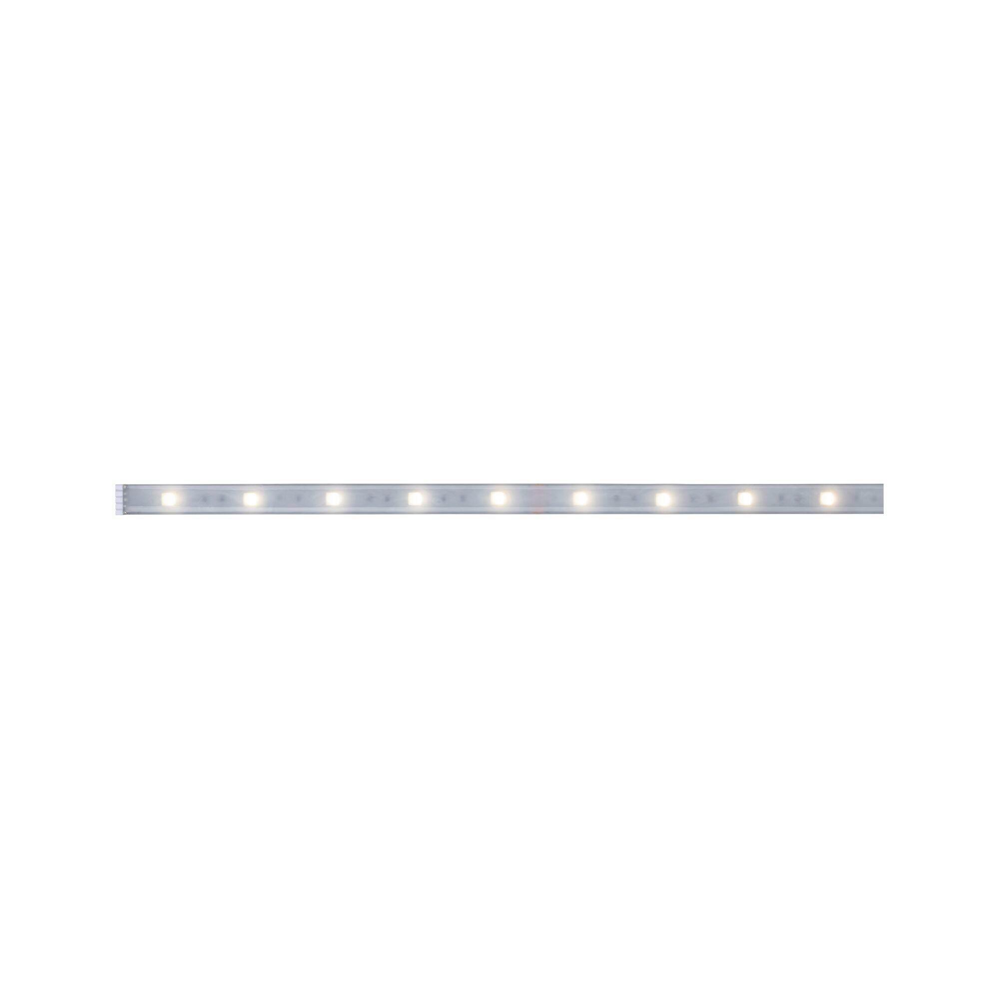 LED-Strip MaxLED 250 max. 7 Watt - Silberfarben, Basics, Kunststoff (100cm) - Paulmann