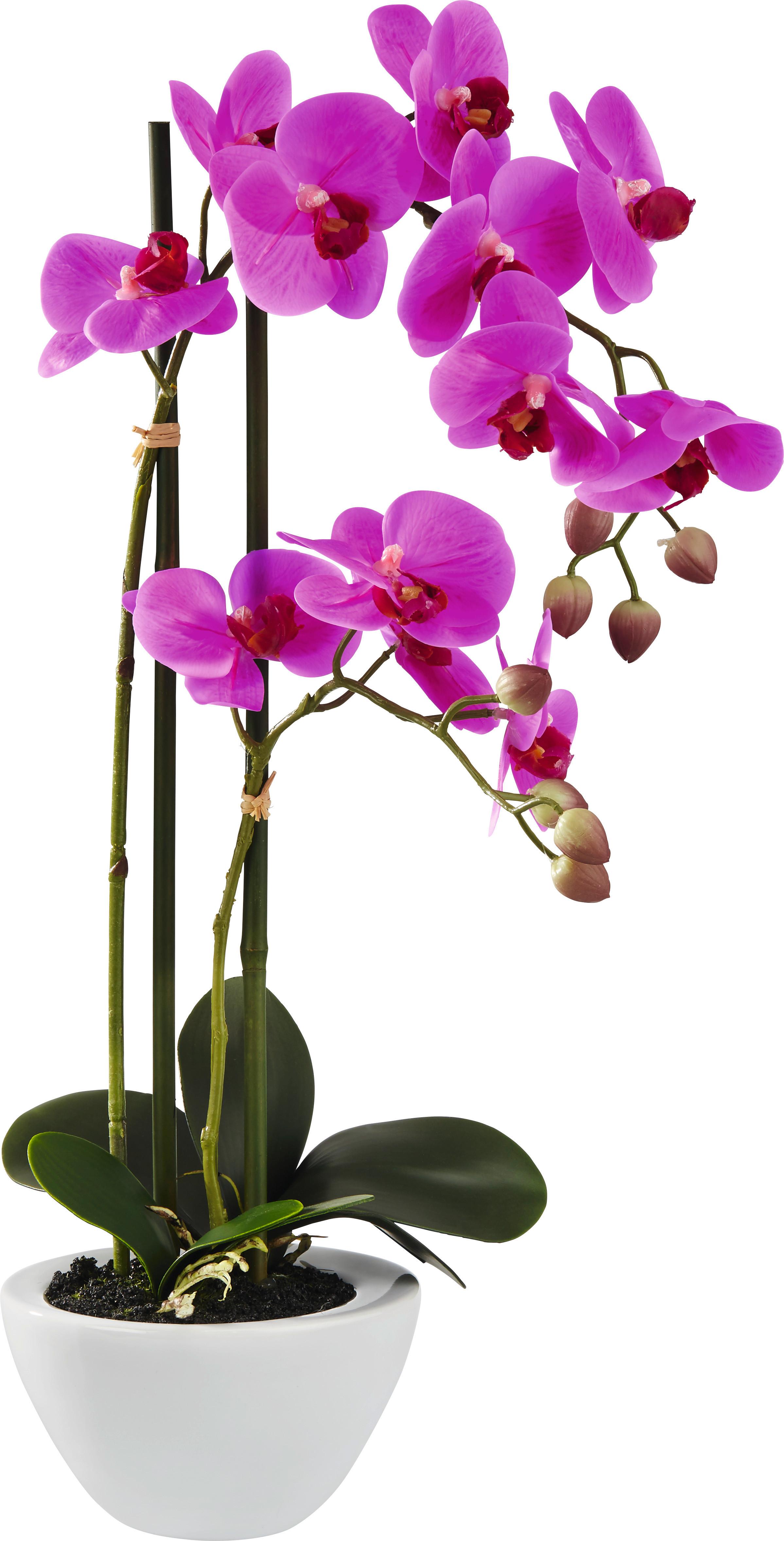 Kunstpflanze Orchidee - Lila/Grün, Kunststoff/Textil (50cm) - Modern Living