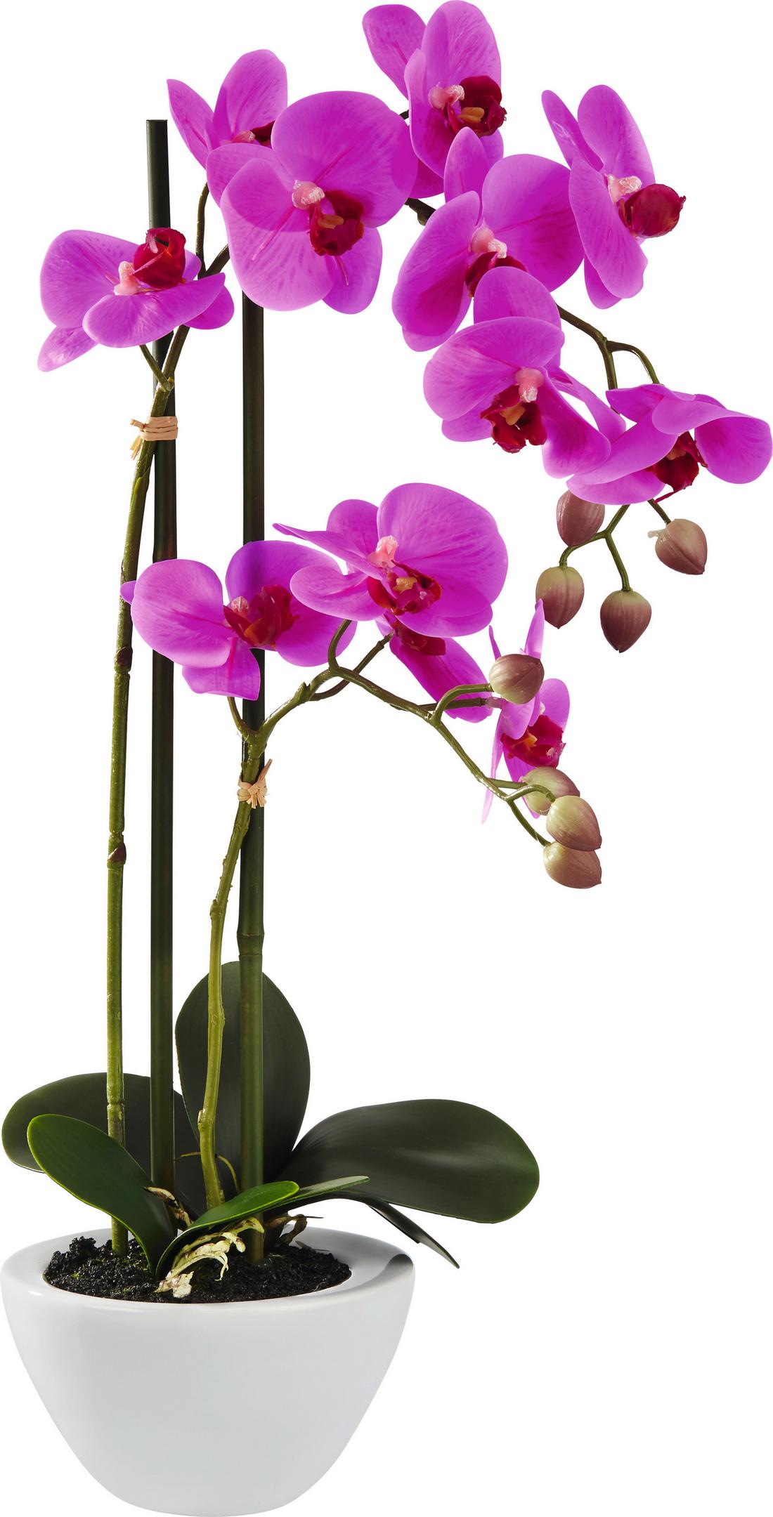 mömax Orchidee online ➤ Kunstpflanze kaufen
