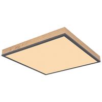 Deckenleuchte Doro Graphitfarben max. 24 Watt - Opal/Graphitfarben, Basics, Kunststoff/Metall (45/45/6.5cm) - Globo
