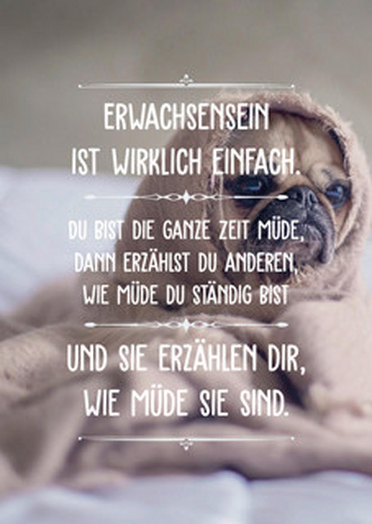 Glückwunschkarte Visual Statements - Multicolor, Basics, Papier (11,5/16,0cm) - VS Visual Statements