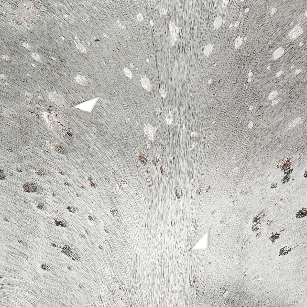 FLACHWEBETEPPICH FLY 110 GRAU / SILBER - Silberfarben/Grau, Konventionell, Leder (1.35qm) - Kayoom