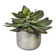 Kunstpflanze Echeveria Grün - Grau/Grün, Kunststoff (18/21cm) Kunstpflanze Echeveria Grün - Grau/Grün, Kunststoff (18/21cm)