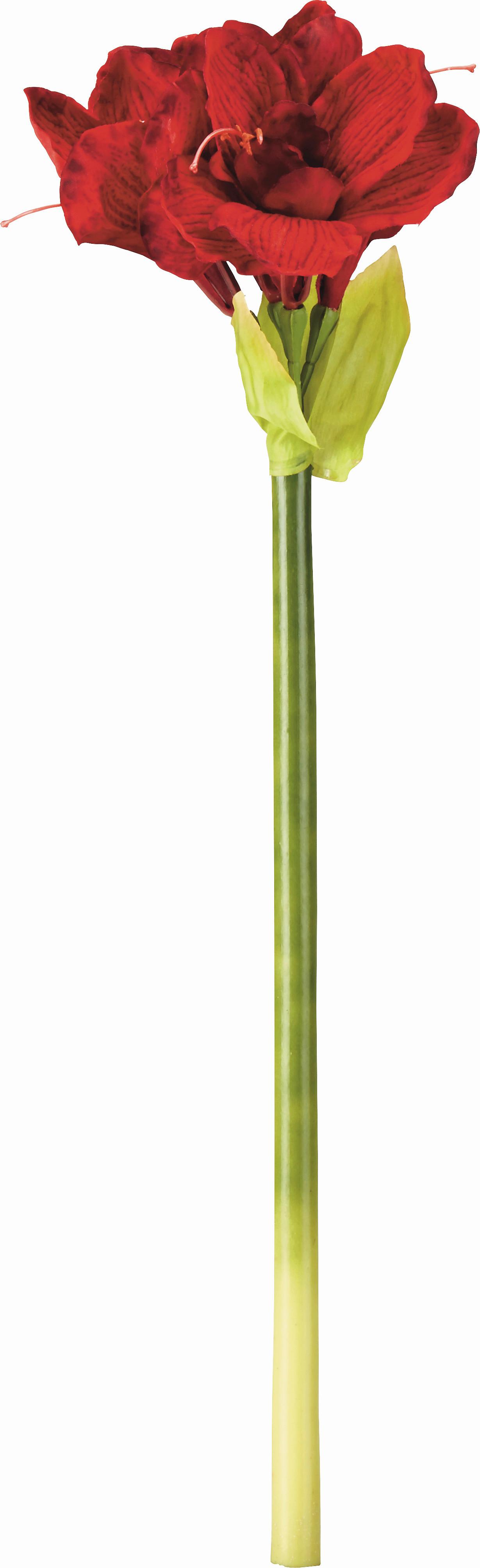 Cvijet Umjetni Amayllis I - zelena/tamno crvena, tekstil/metal (66cm) - Modern Living