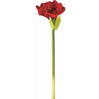 Cvijet Umjetni Amayllis I - zelena/tamno crvena, tekstil/metal (66cm) - Modern Living