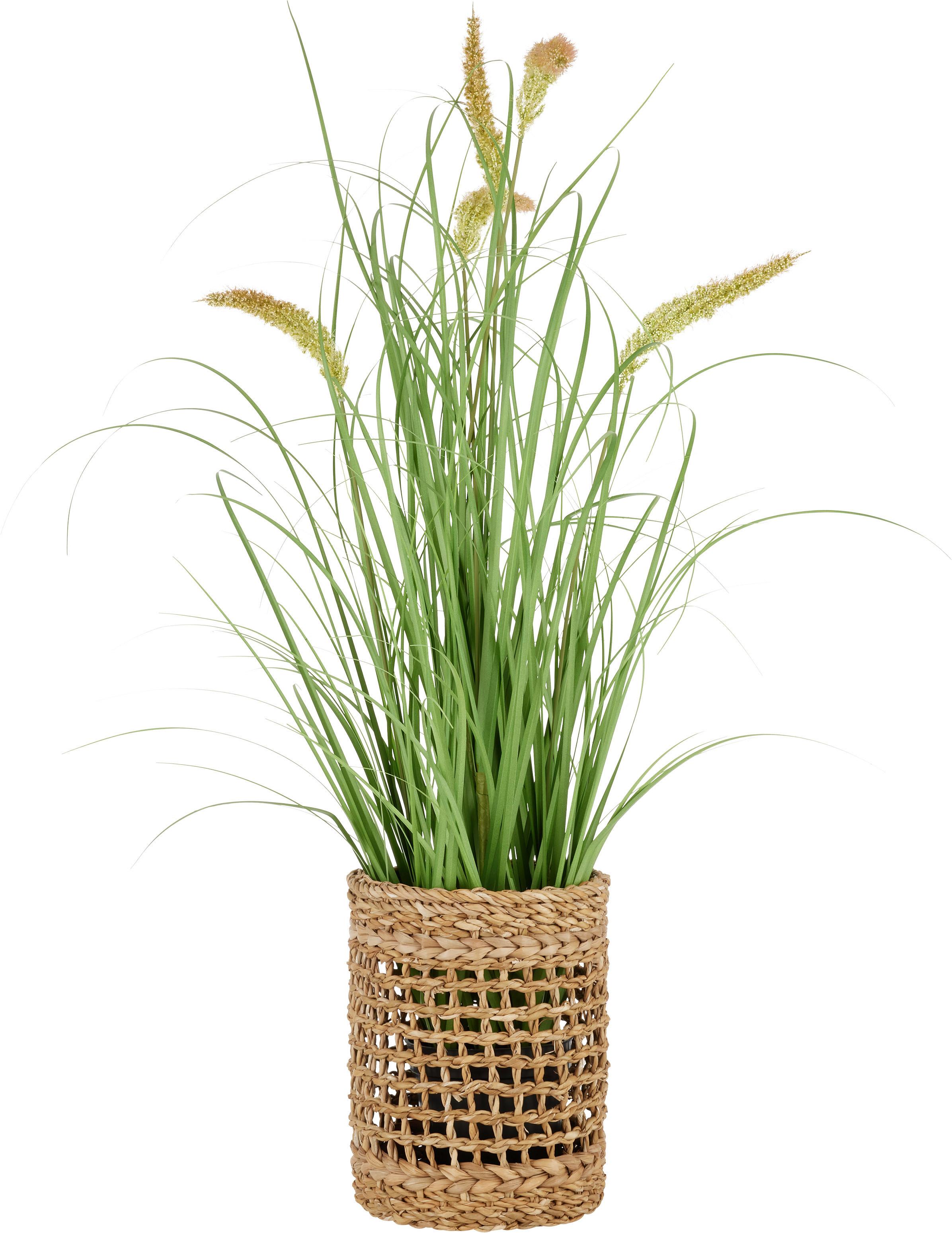 Umetna Rastlina Pennisetum I - črna/zelena, Basics, umetna masa/tekstil (97cm) - Modern Living