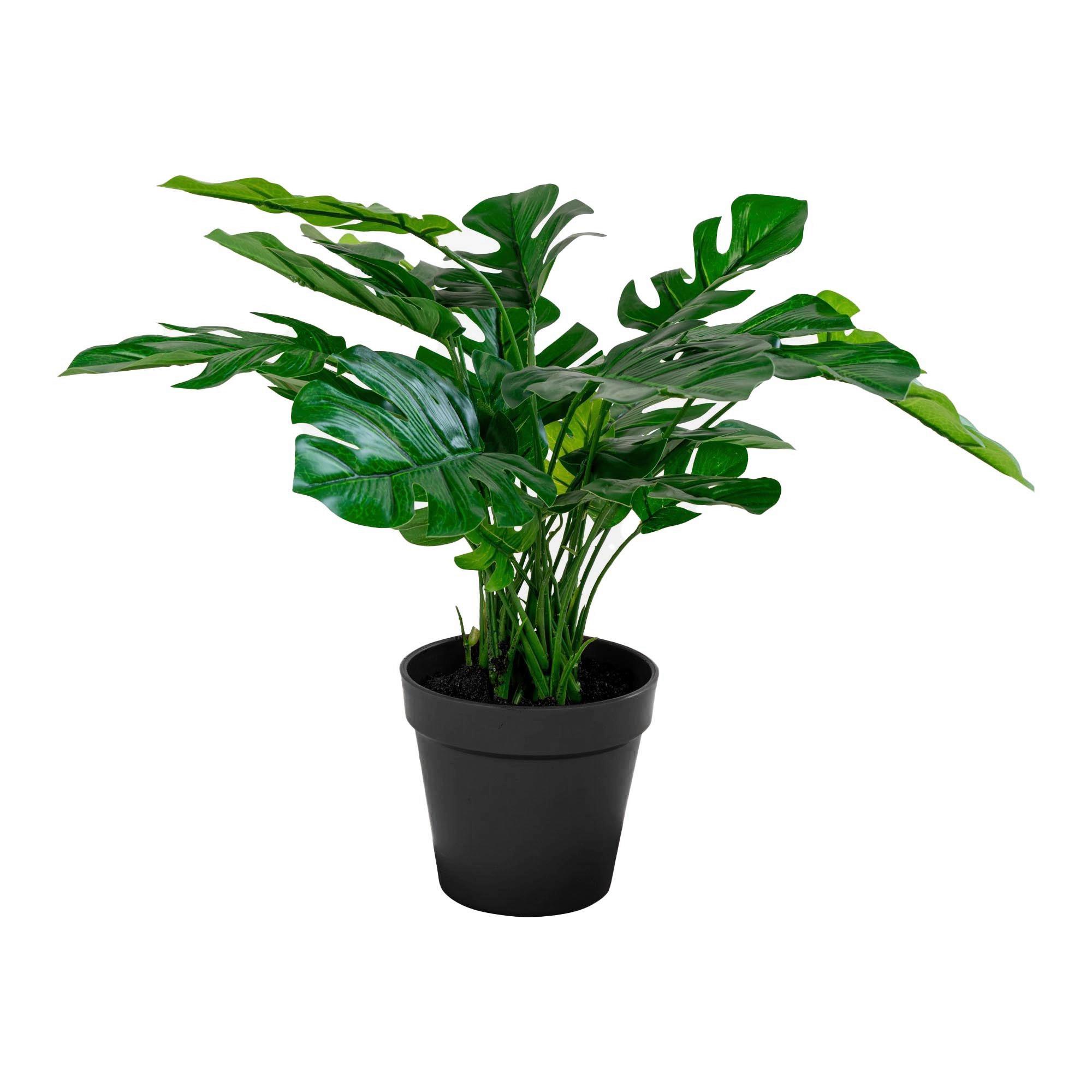 Kunstpflanze Monstera Grün - Grün, Design (40/45/40cm)