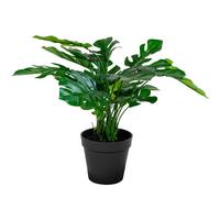 Kunstpflanze Monstera Grün - Grün, Design (40/45/40cm)
