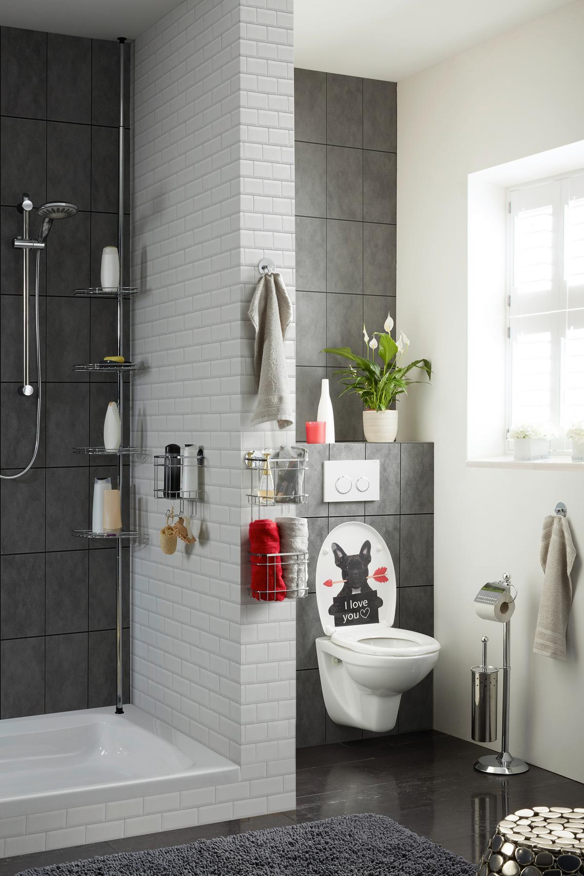 Duschregal Edelstahlfarben - Edelstahlfarben, MODERN, Metall (18/24/12,5cm) - Mömax