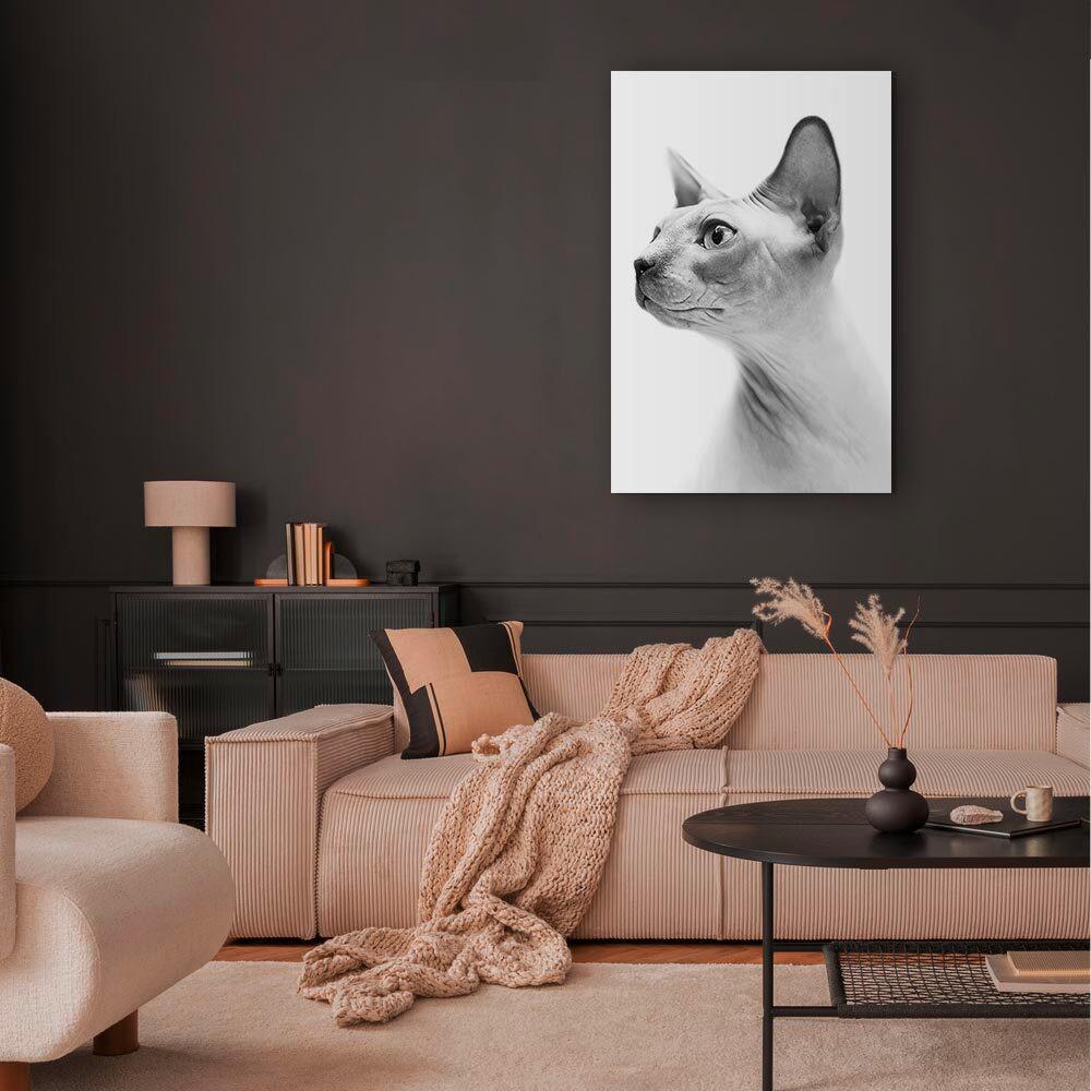 Slika Na Platnu Hairless Cat - bela/svetlo siva, Basics, tekstil/leseni material (40/60/1,2cm) - artgeist