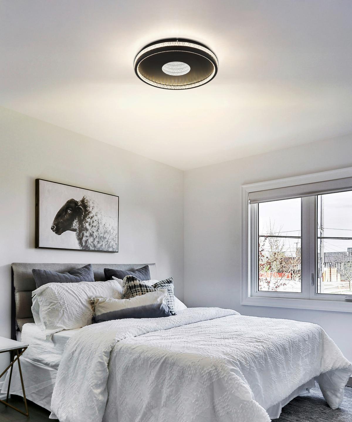 Led Stropna Svjetiljka Shirley - prozirno/crna, Design, metal/plastika (41/6.5cm) - Globo