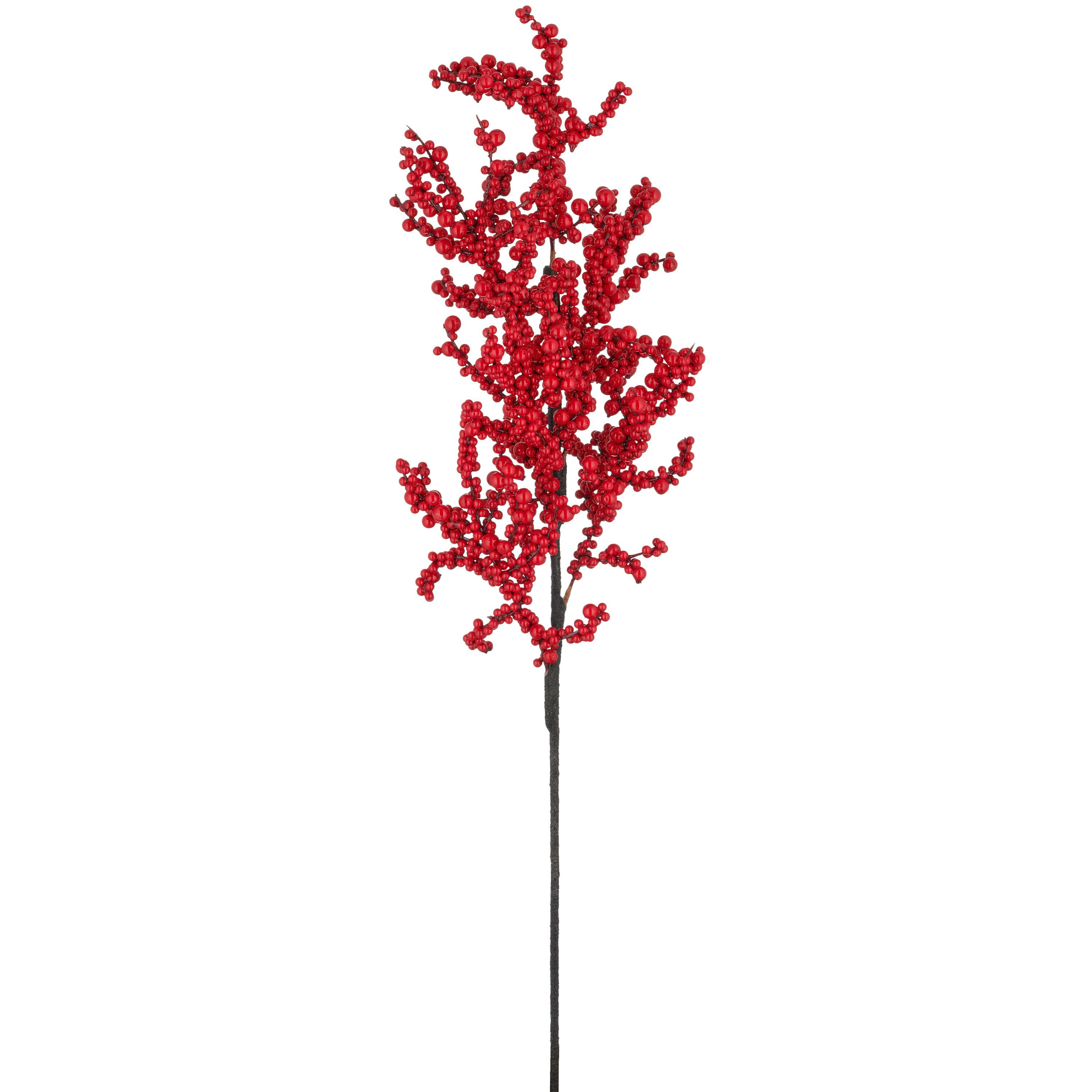 Umetna Rastlina Beerenzweig I - rdeča/rjava, Basics, umetna masa (73cm) - Mömax
