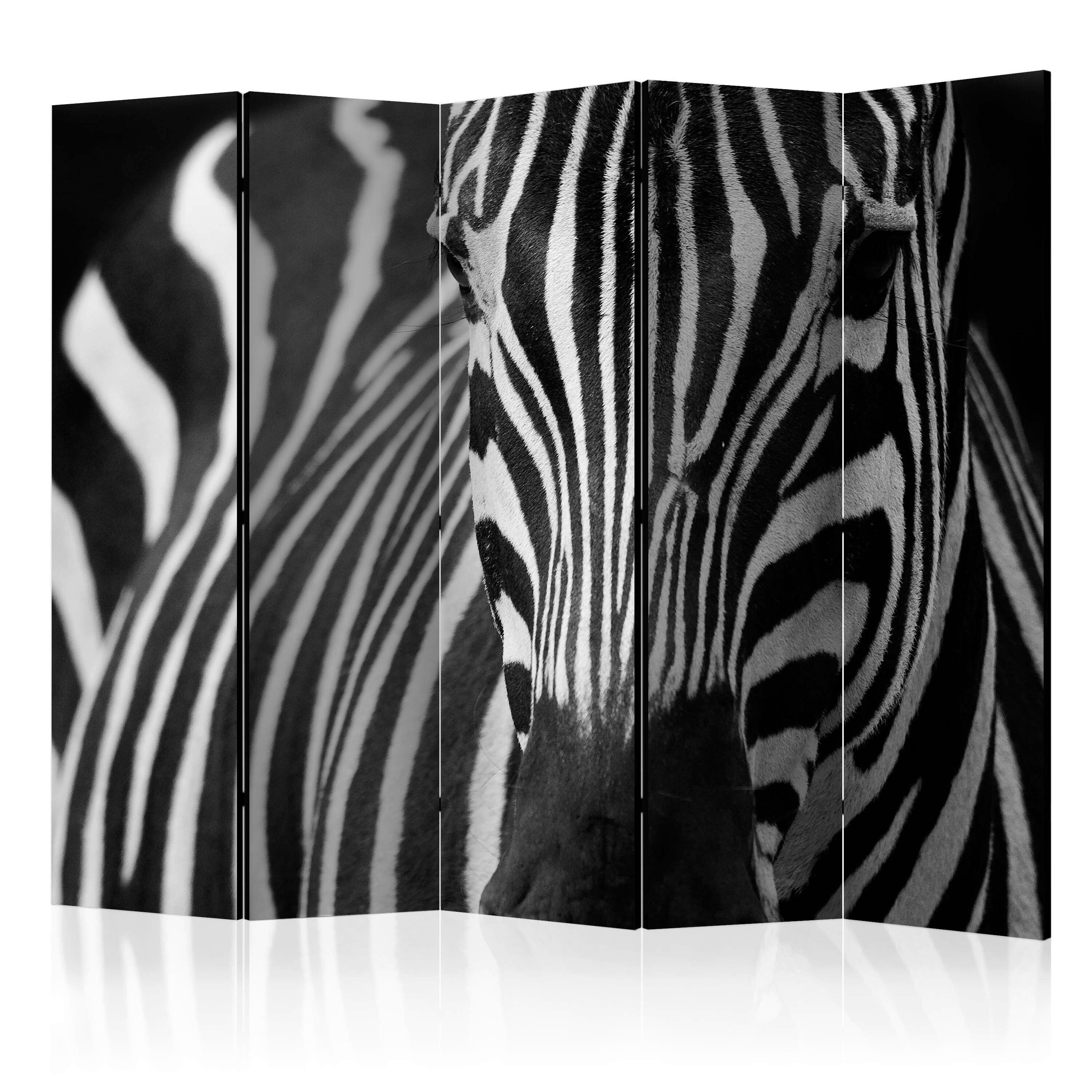 Paravan Zebra I, 5-Delni, Dvostranski - črna/bela, Basics, tekstil/les (225/172/3cm) - artgeist