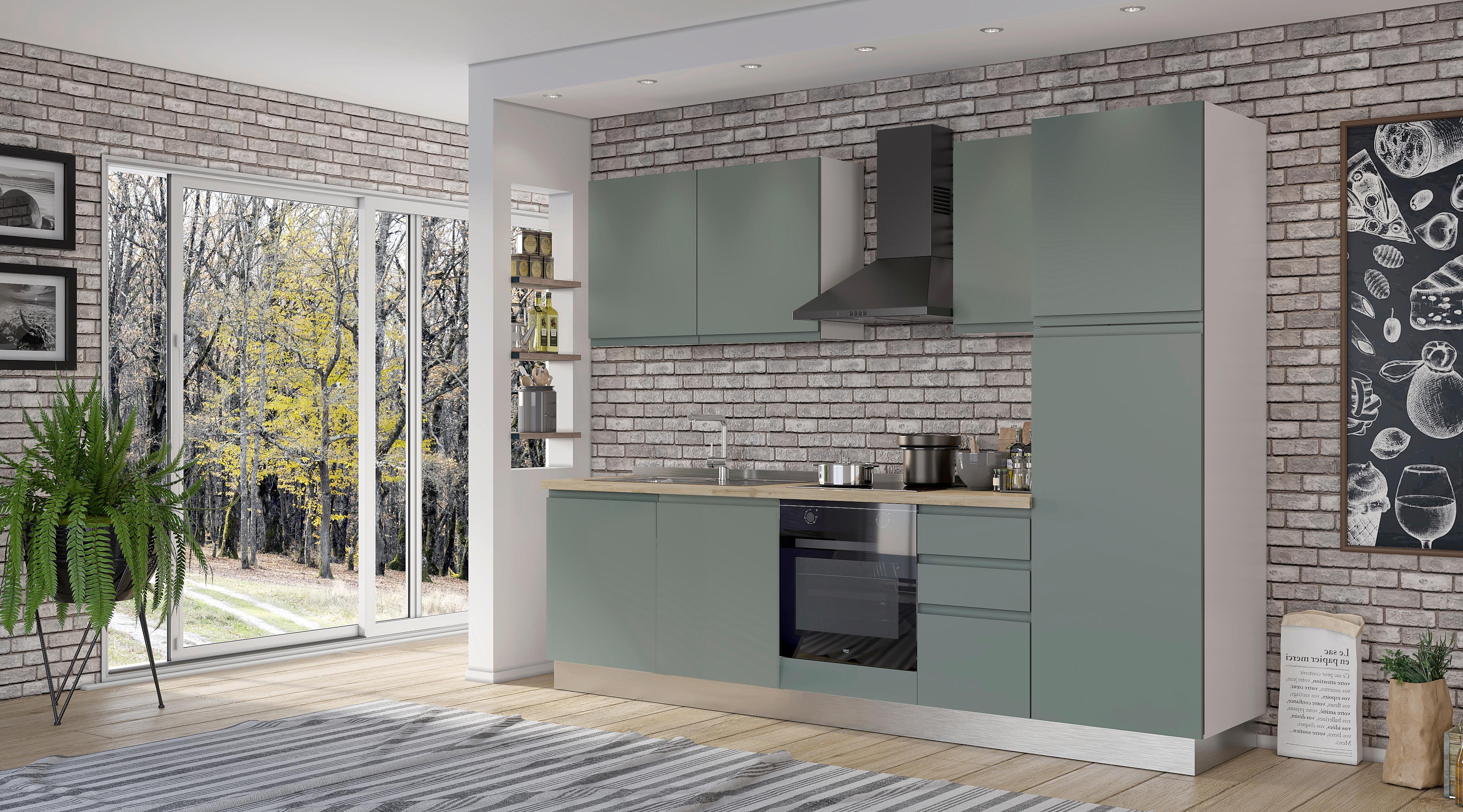 Blok Kuhinja S Aparatima Gilda Gola - bijela/zelena, Moderno, drvni materijal/drvo (285/216/60cm) - Modern Living